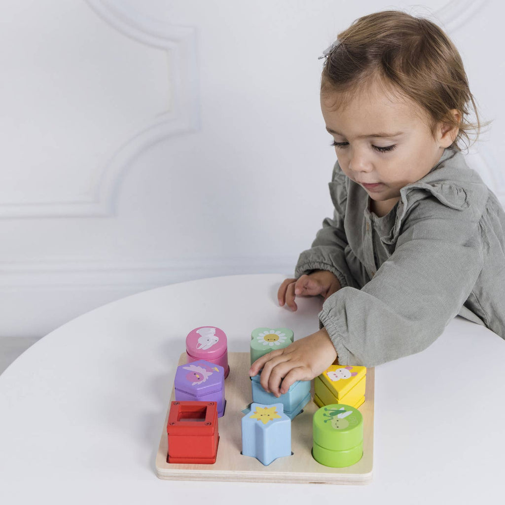 Le Toy Van Rainbow Shape Sorter